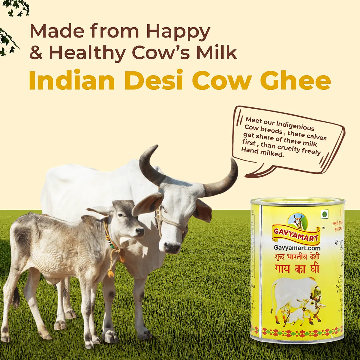 Pure Desi A2 Cow Ghee