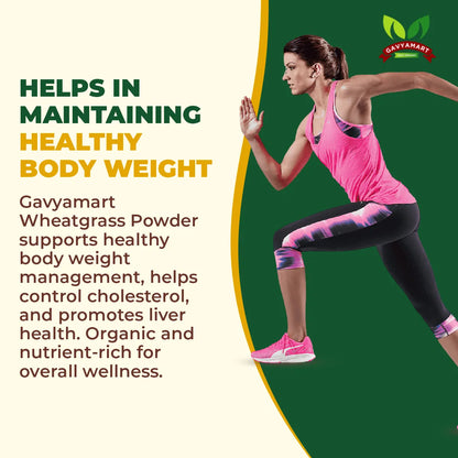 Wheatgrass Powder-100gm